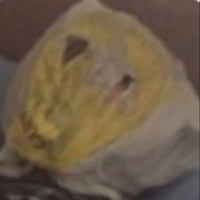 Tupaeytumae Original