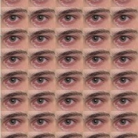 Vladimir 606