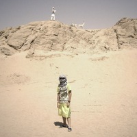 NaviGator