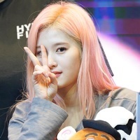 sᴀɴᴀ 𝑓𝑜𝑟 𝙿𝚛𝚎𝚜𝚒𝚍𝚎𝚗𝚝 