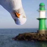 Роман Герасько