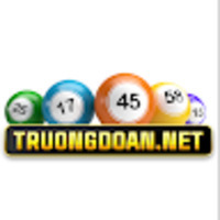 Truongdoan net