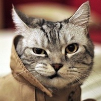 Carl-Maria Von-Weber