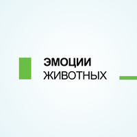 ЭМОЦИИ ЖИВОТНЫХ