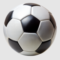 FCShorts