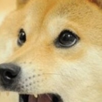 KennethDoge