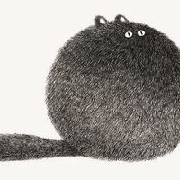Светлана Сопчинская