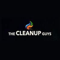 The CleanUP Guys
