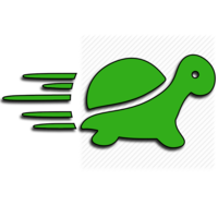 SlowFast