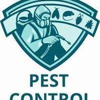 Pest Control Service