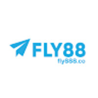 Fly888 co