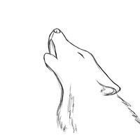 WildWolf