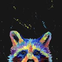 Seggi_Raccoon