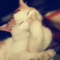 •• SWEET GIRLS ••