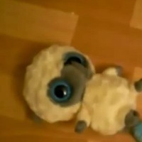 NoobCoub