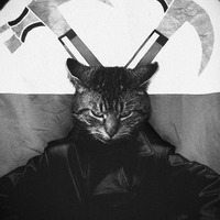 Dmitlantis