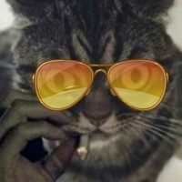 Fffffristaylo Rakamakaroni