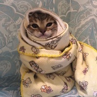 Роман Орловский