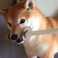 Sword Doggo