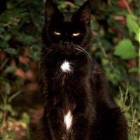 Юрий Некрасов