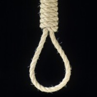Empty_noose