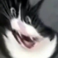 hungryIligy