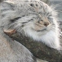 Александр Симонов