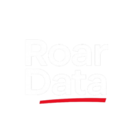 power bi consulting services australia