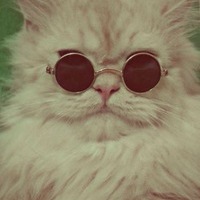 Илья Сиваков