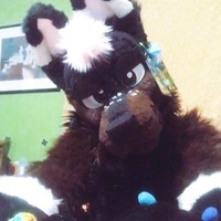 Haaaaave you met Tomu?
