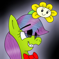 pony_broni
