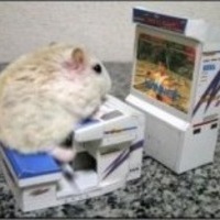 Егор Горлов