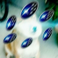 Spunko