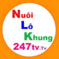Nuôi lô khung 247 Tv - Website Soi cầu 247 rồng bạch kim chính xác 100