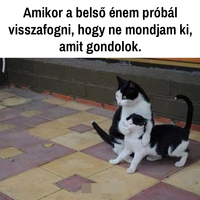 Angyalka01