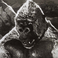 Kong
