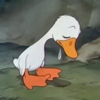 ashkckan