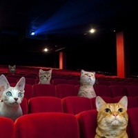 Pax Cinema