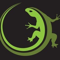 Lizard