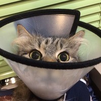 Miss Berta
