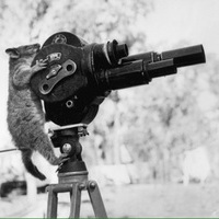 Documentary