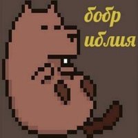 Bobribliya