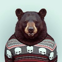 Константин Мохов