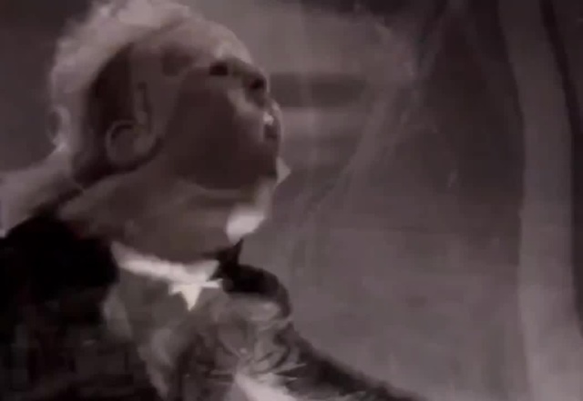 ℙ𝕣𝕠𝕕𝕚𝕘𝕪 ℂ𝕒𝕥