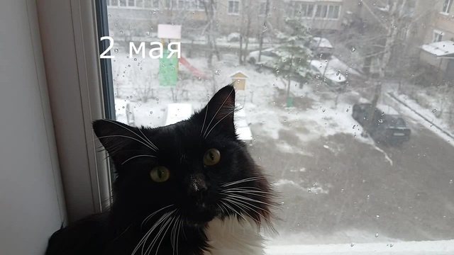 2 мая