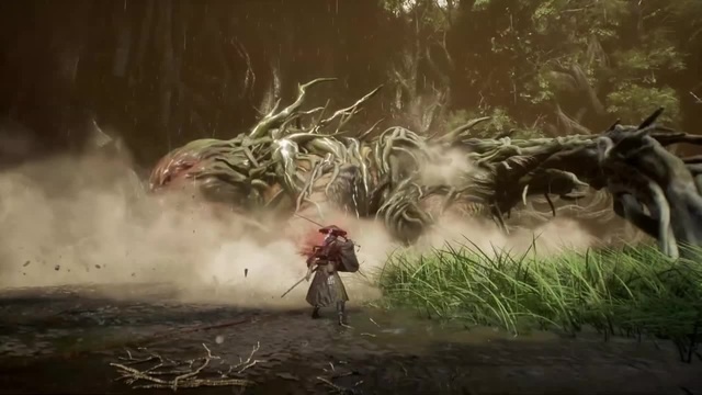 Witcher From Japan