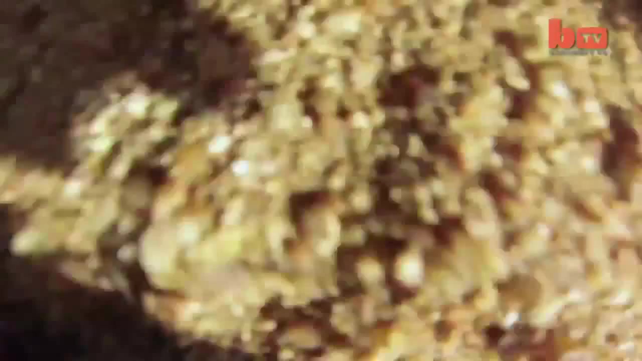 Leopard stole GoPro camera - Coub