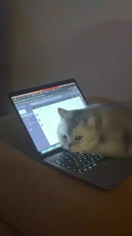 Котэ