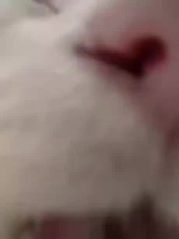 Лизь
