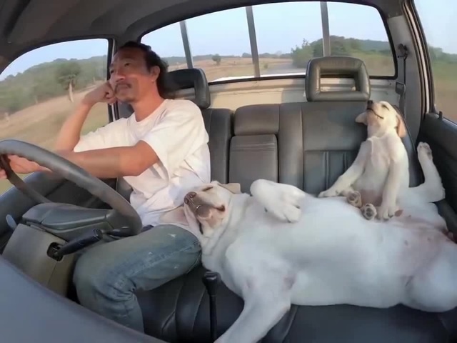 best friends